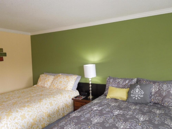 Tea Garden Lodge image 30